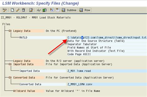 Toradh íomhá ar LSMW Direct Input Sample Data