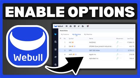 Image result for Enable Options Chart Webull