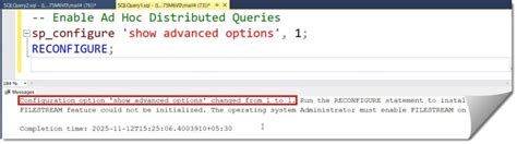 Toradh íomhá ar SQL Server Import Excel into Table