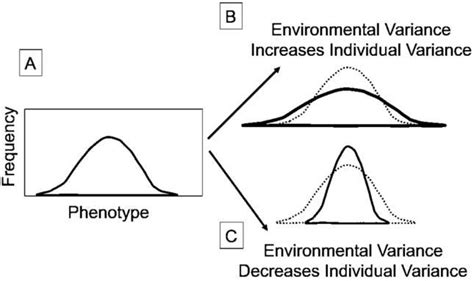 Bildergebnis für Intermediate Phenotype Diagram Normal Distrobution