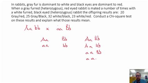 Toradh íomhá ar Chi-Square Test Example Problems