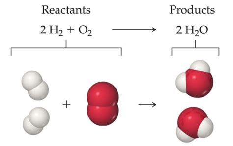 Image result for Reactants of Photosynthesis What Goes In