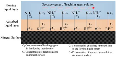 Image result for Schematic Diagram of Selective Adsorption of Rare Earth