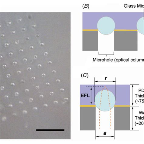 Double Face Microlens Array に対する画像結果