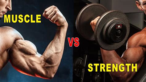 Building Muscle & Strength に対する画像結果