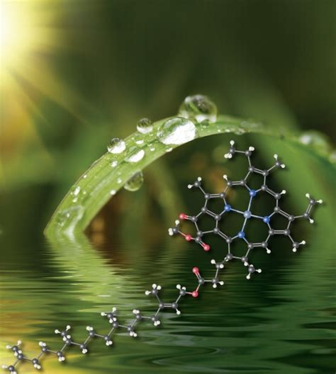 Toradh íomhá ar Introduction to Management Science 15th Edition Book