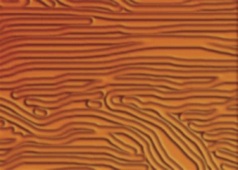 Image result for Aircraft Paint Defects