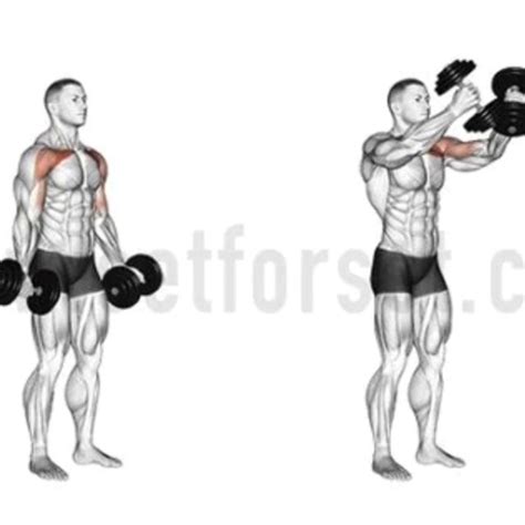 Image result for Dumbbell Overhead Fly