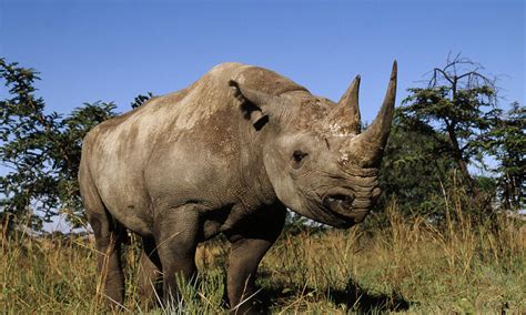 Rhino Architecture Rendering に対する画像結果