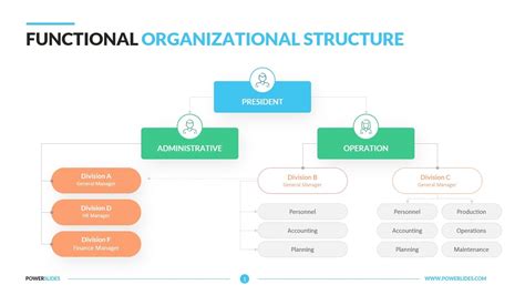 Image result for Example of Organisation Structure