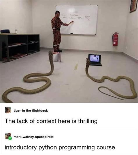 Image result for Python Class Jokes
