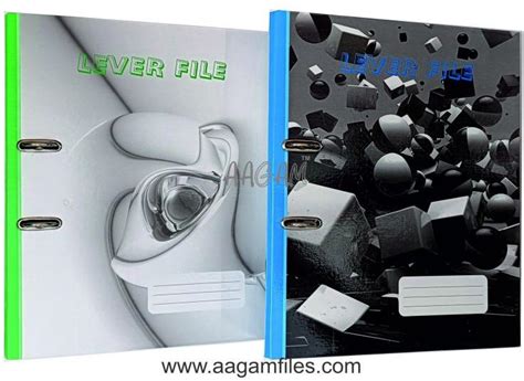 Afbeeldingsresultaten voor Lever Lock File