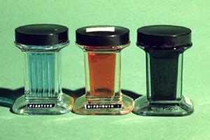 Diff Quick Stain Procedure に対する画像結果