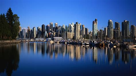 Image result for Windows Background High Resolution