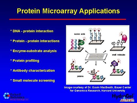 Toradh íomhá ar Protein Microarray Cartoon Images