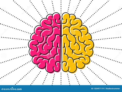 Image result for brain hemisphere differences