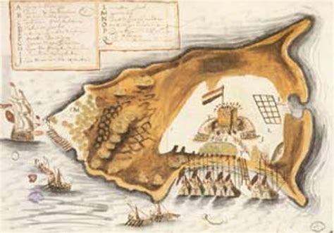 Image result for Tortuga Set Out Divid