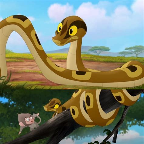 Image result for Python versus Lion