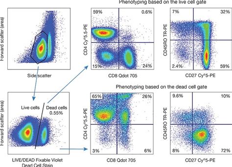 Afbeeldingsresultaten voor Multiparameter Flow Cytometry