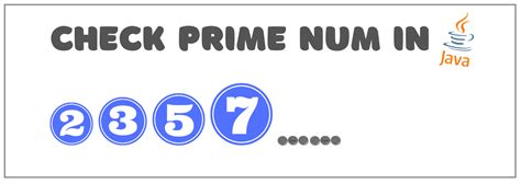 Image result for Efficient Program to Check Prime Number