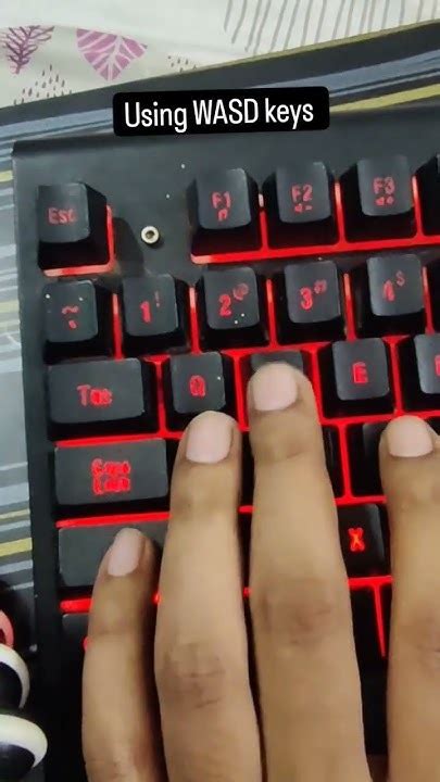 Image result for How to Use W ASD Key in SIM4