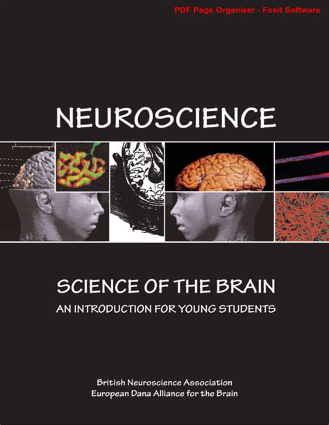 Image result for Science Neuroscience