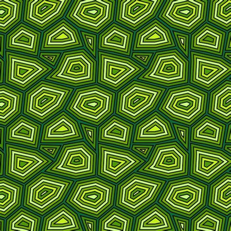 Green Turtle Shell Pattern に対する画像結果