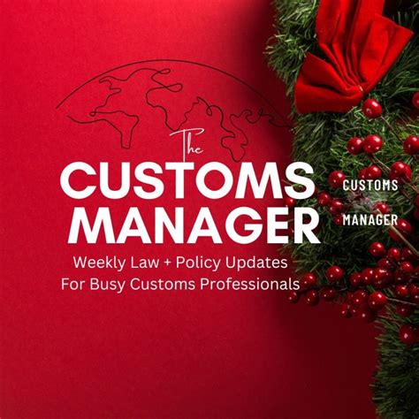 Image result for Men Program Manager Customes