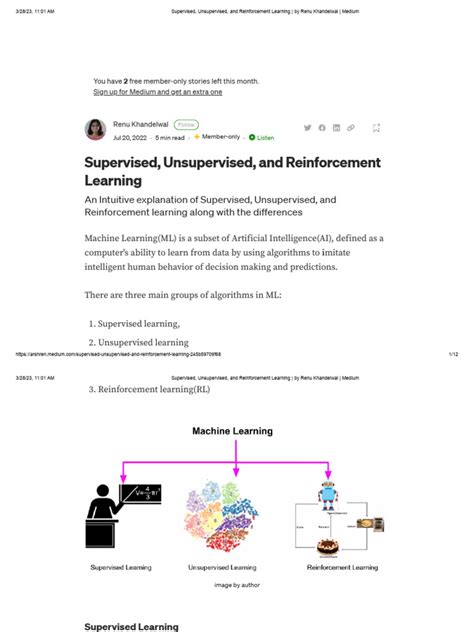 Supervised Unsupervised Reinforcement Deep Learning に対する画像結果