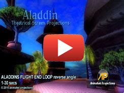 Image result for Aladdin in Reverse