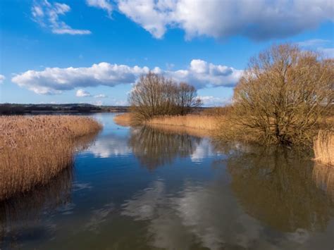 Image result for Bridge Digital Camera