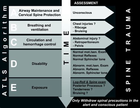 Image result for Atls Traumatic Arrest Algorithm