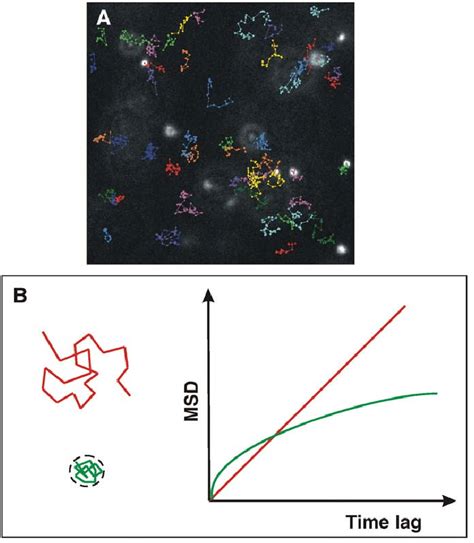 Image result for Particle Tracking Intensity Increase