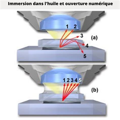 Image result for Objectif Microscope