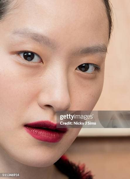 Image result for Lee Model