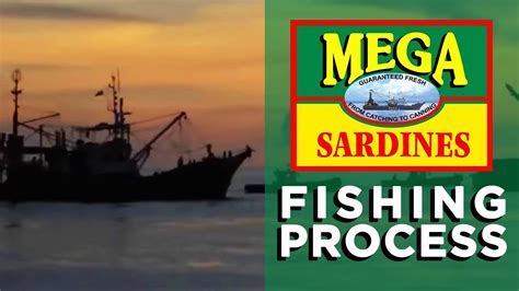 Toradh íomhá ar Sardines Process