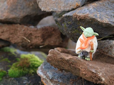 Image result for Yoda and the Force