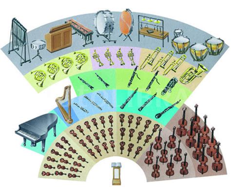 Toradh íomhá ar String Section Orchestra Instruments
