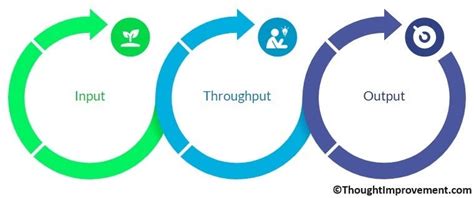 Image result for Input Throughput Output Audit