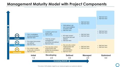 Image result for Project Portfolio Management Maturity Model