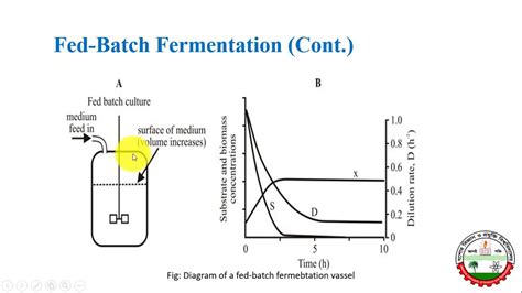 Image result for Batch Fermanor
