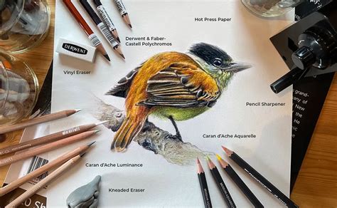 Afbeeldingsresultaten voor Color Pencil Drawing