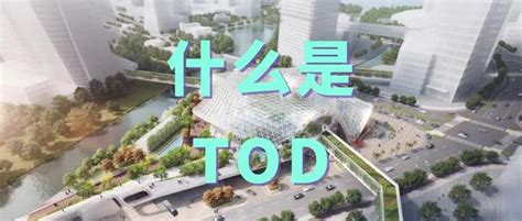 Image result for Tod Der Core Activation Exercises