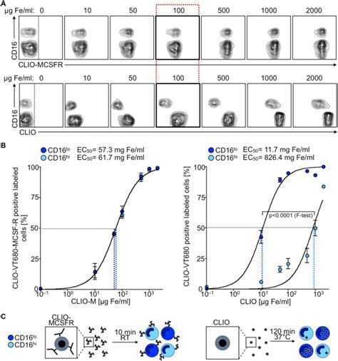 Image result for Contour Plot Flow Cytometry