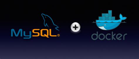 Image result for MySQL and Docker Image Connection