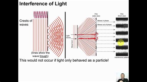 Image result for Interference of Light Types