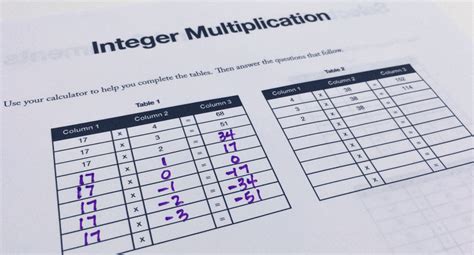 Integer Multiplication Activity に対する画像結果