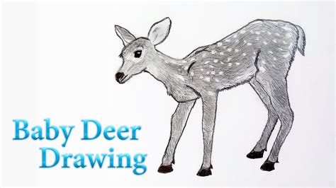 Toradh íomhá ar Fawn Face Drawing