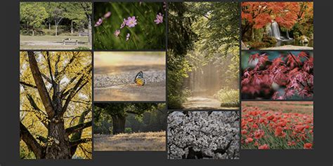Masonry CSS に対する画像結果