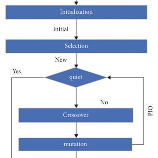 Image result for Genetic Algorithm Image Processing